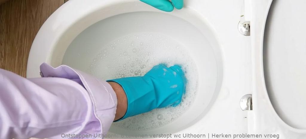 6 tekenen verstopt wc Uithoorn | Herken problemen vroeg